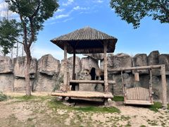 -上海野生动物园