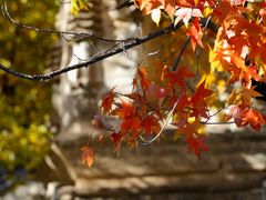 -天津盘山风景名胜区