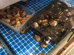-蚝美人·生蚝海鲜烧烤(茶花园店)
