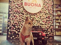 -百好乐宠物友好餐厅(朝外大街店)