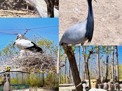 -哈尔滨北方森林动物园