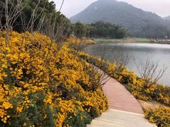 -广州市石门国家森林公园