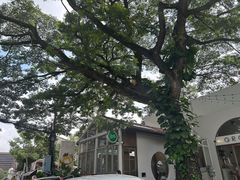 -Cheevit Cheeva(Sirimangkalajarn)