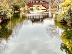 -三垟湿地