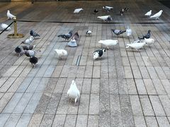 -中航城君尚购物中心
