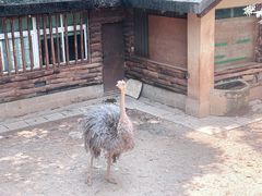 -昆明动物园