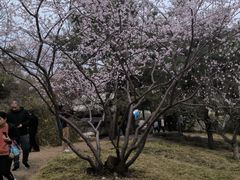 -丰台花园