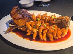 -RIVIERA 松鹤楼(外滩店)
