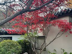-郑和公园