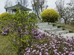 -王借岗森林公园