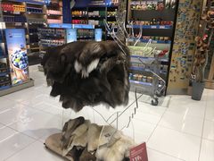 -谢列梅捷沃国际机场