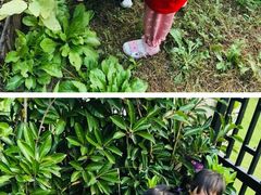 -MuaKids Garden