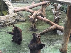 -深圳野生动物园