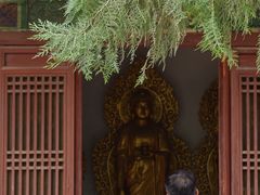 -窦大夫祠
