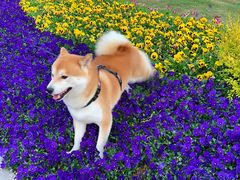 -钟山体育运动公园