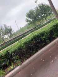 -HEYAN长风荷妍专业脱毛美肤
