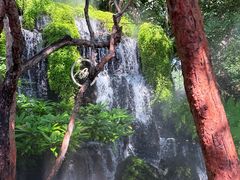 -Chom Cafe and Restaurant