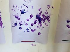 -金宝贝早教(富力广场中心)