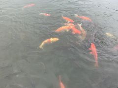 -金山植物公园