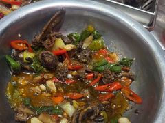 -古彭7只羊·招牌白串·碳锅羊肉旗舰店