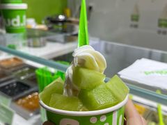 -Salud撒露欧洲冻酸奶(北苑上品店)