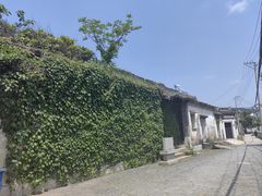 -东山风景区(洞庭东山)