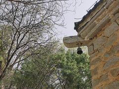 -白水寺森林公园