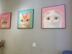 点击看大图 -洗脸猫·洗脸吧