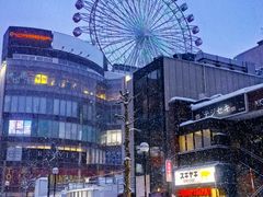 -狸小路商店街