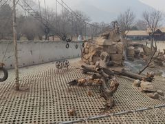 -西安秦岭野生动物园