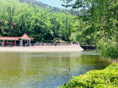 -北岭山森林公园