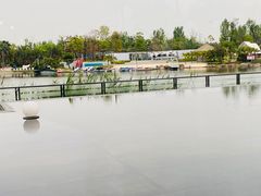 -云里小坐·海泉湾·团建·宴席·下午茶(金堂海泉湾店)