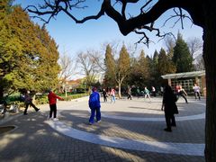 -双榆树公园