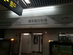 -浦东1号2号航站楼(地铁站)
