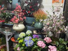 -朝来春花卉市场
