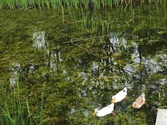 -武汉园博园(武汉自然博物馆)