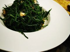 -老阿妈蒙古村·蒙古包·草原文化·歌舞表演(老君堂店)