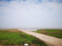 -南汇嘴观海公园
