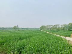 -大兴滨河森林公园