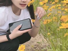 -日照海滨国家森林公园