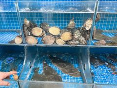 -宾朋海鲜饭庄(兴海路店)