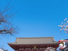 -浅草寺