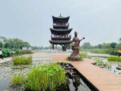 -荷花大观园