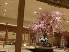 -大江户·温泉洗浴(浑南店)