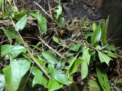 点击看大图 -酷嗒动物文化乐园(cutezoo西溪乐天城店)