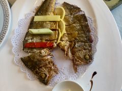 -骏莱海鲜鱼港(五角场店)