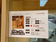 -屋虎猫馆(宝安大仟里店)