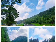 -武陵山森林公园