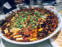 -新概念来凤鱼(璧山店)