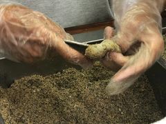 -叶氏麻糍(鼓浪屿店)